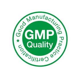 GMP Logo