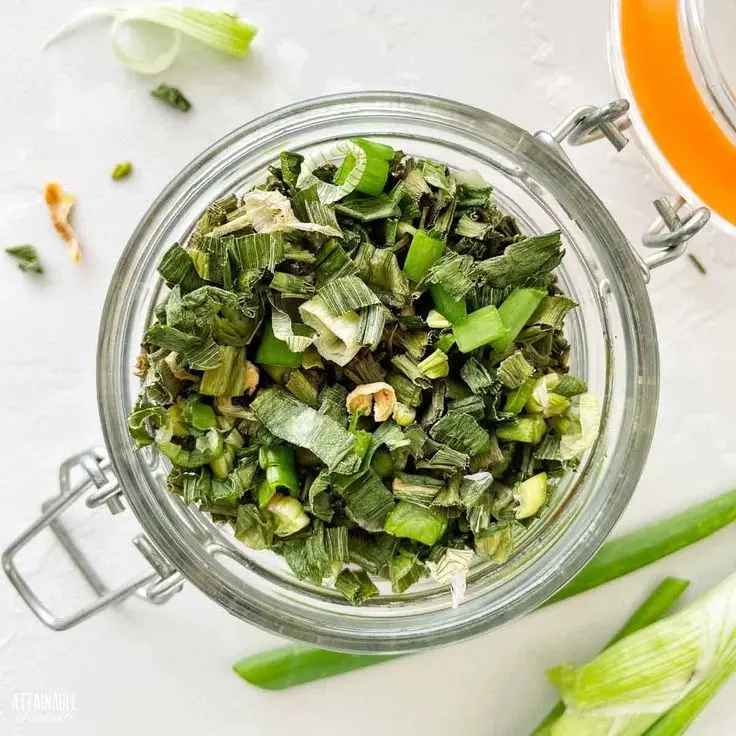 Fruits & Vegetables — Spring Onion